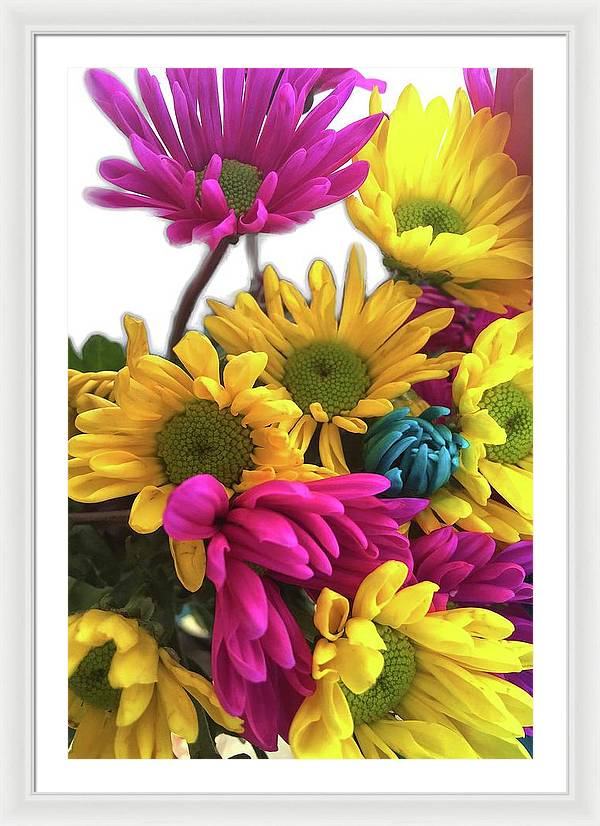 Pink and Yellow Daisies - Framed Print