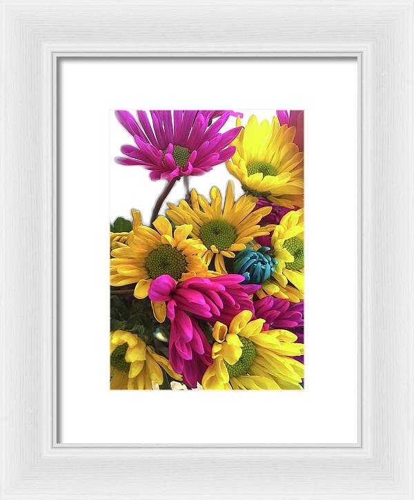 Pink and Yellow Daisies - Framed Print