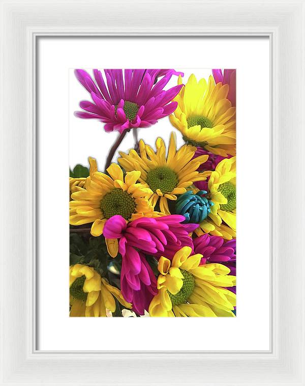 Pink and Yellow Daisies - Framed Print