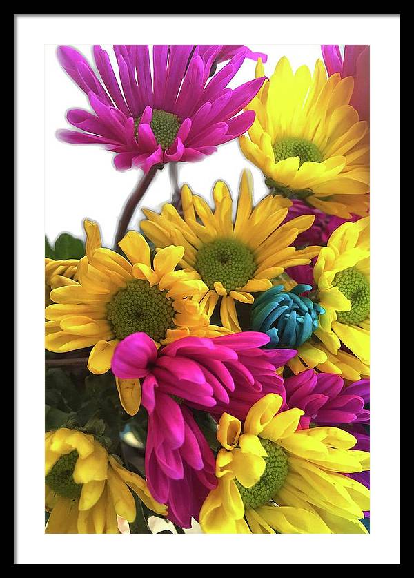 Pink and Yellow Daisies - Framed Print