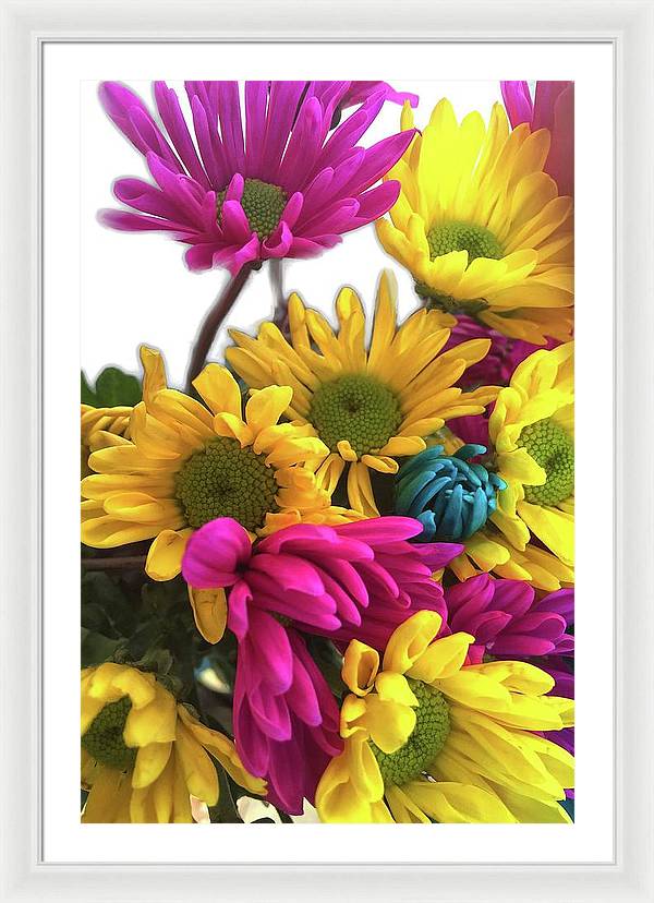Pink and Yellow Daisies - Framed Print