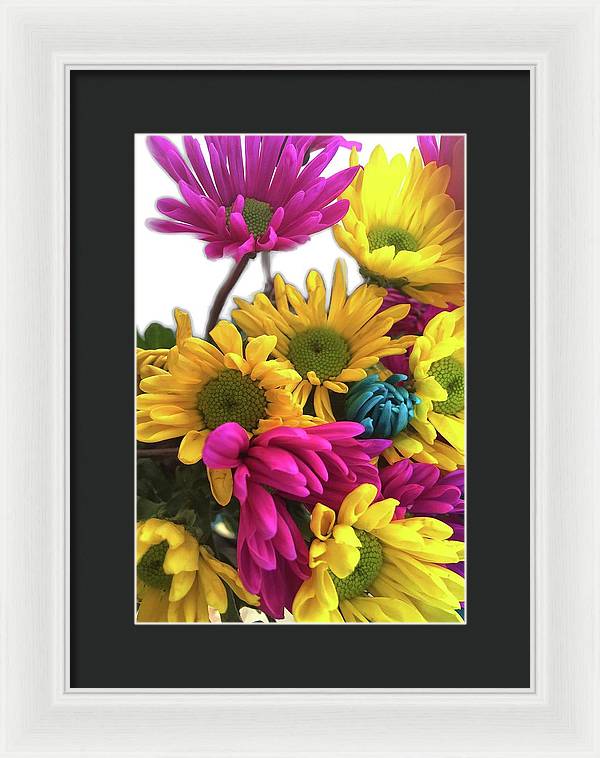 Pink and Yellow Daisies - Framed Print