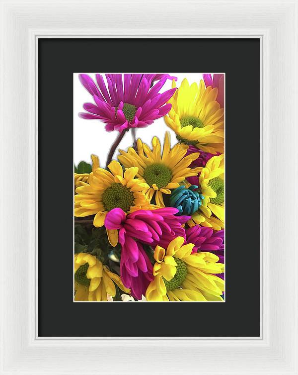 Pink and Yellow Daisies - Framed Print