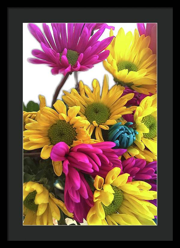 Pink and Yellow Daisies - Framed Print