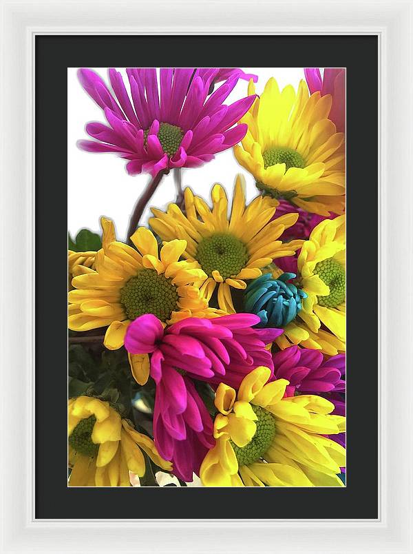 Pink and Yellow Daisies - Framed Print