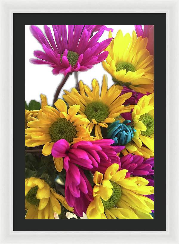 Pink and Yellow Daisies - Framed Print