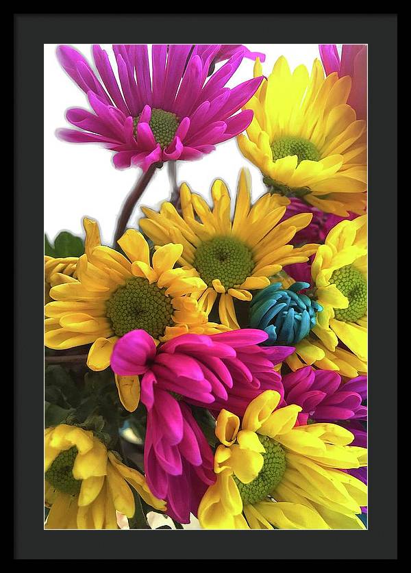 Pink and Yellow Daisies - Framed Print