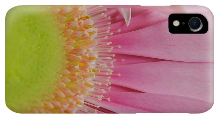 Pink and Yellow Daisy - Phone Case