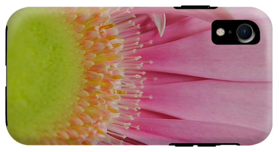 Pink and Yellow Daisy - Phone Case