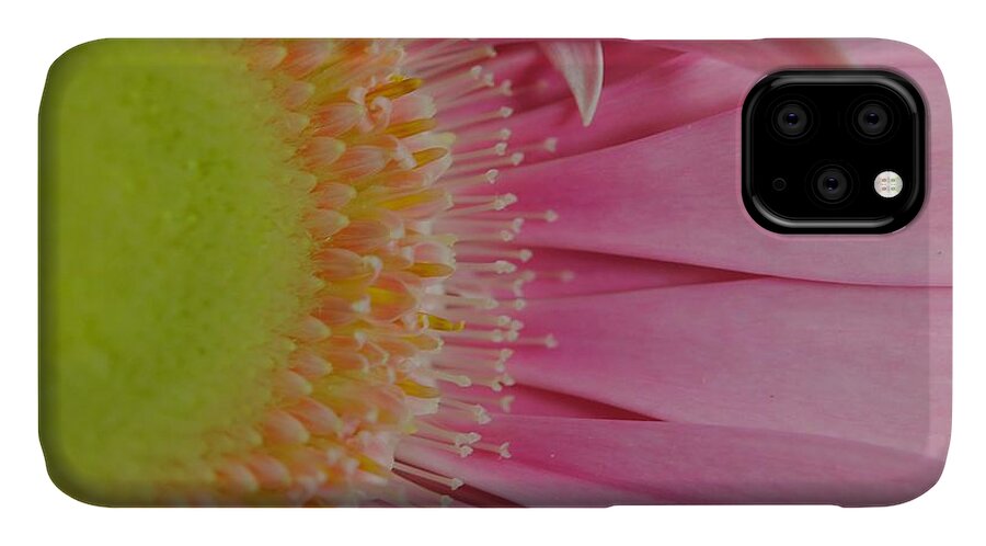 Pink and Yellow Daisy - Phone Case