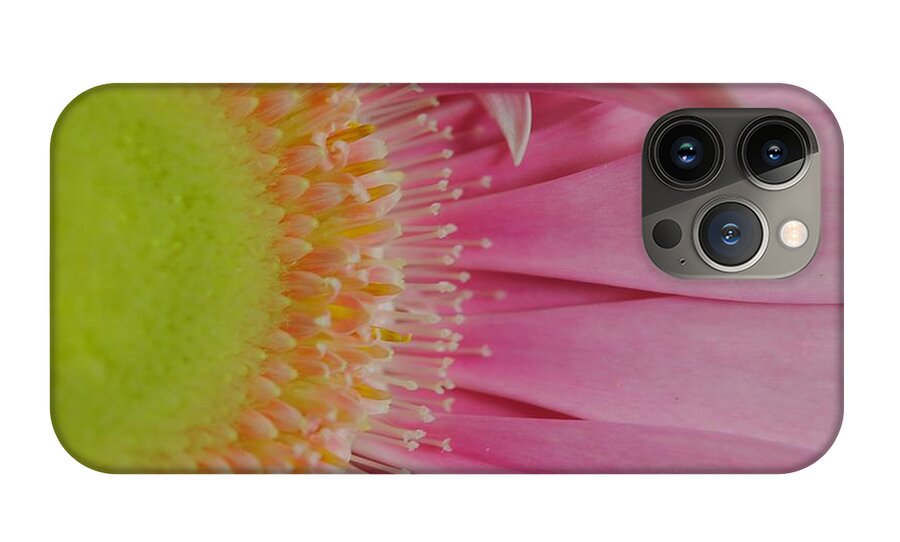 Pink and Yellow Daisy - Phone Case