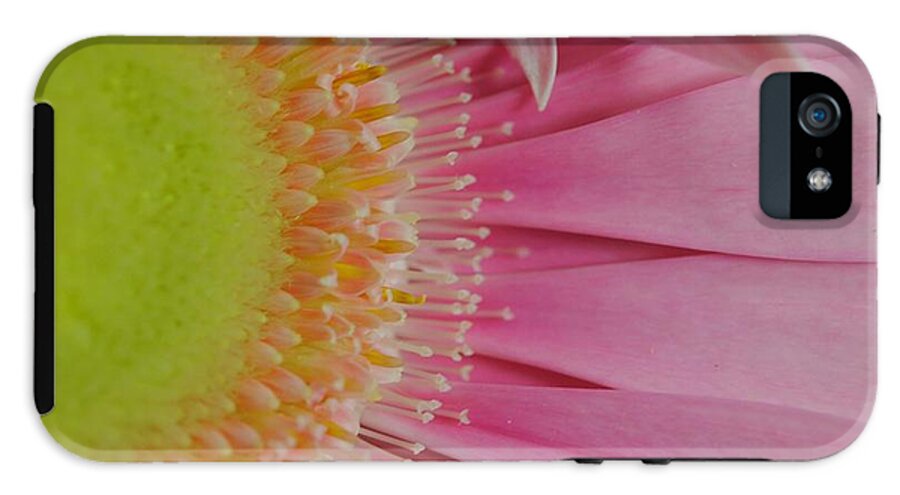Pink and Yellow Daisy - Phone Case