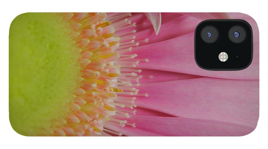 Pink and Yellow Daisy - Phone Case