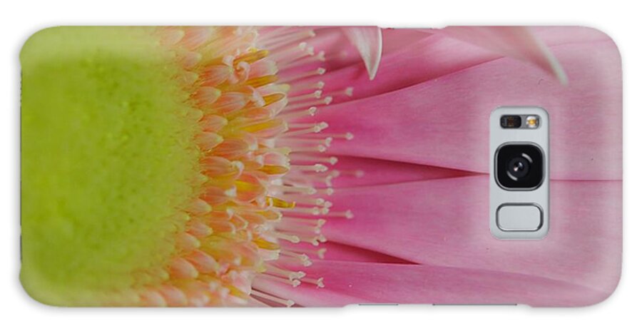 Pink and Yellow Daisy - Phone Case