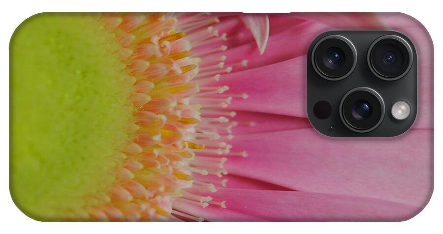 Pink and Yellow Daisy - Phone Case
