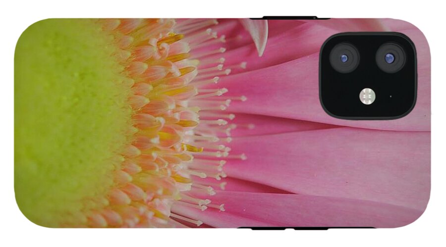 Pink and Yellow Daisy - Phone Case