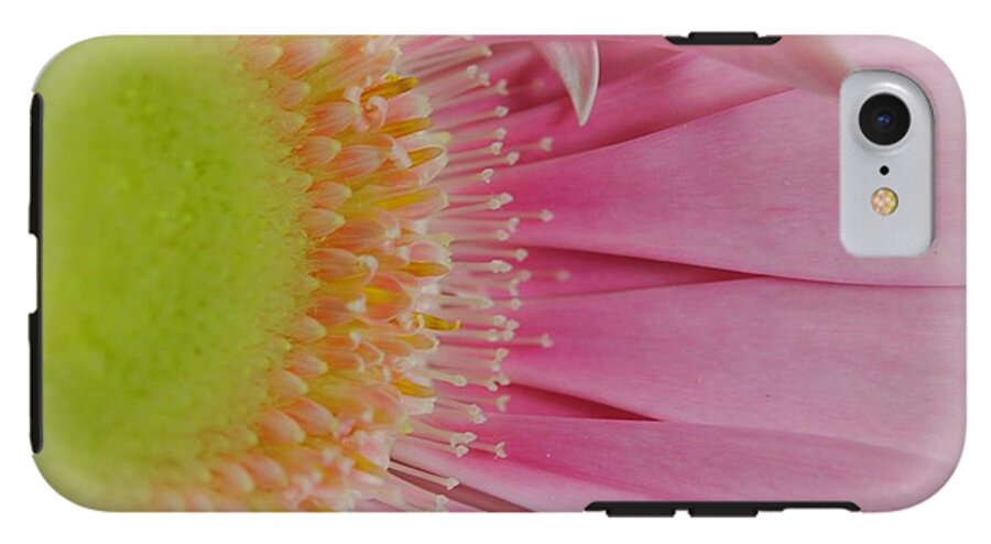 Pink and Yellow Daisy - Phone Case