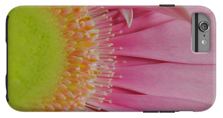 Pink and Yellow Daisy - Phone Case
