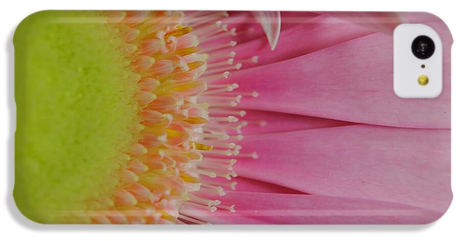 Pink and Yellow Daisy - Phone Case