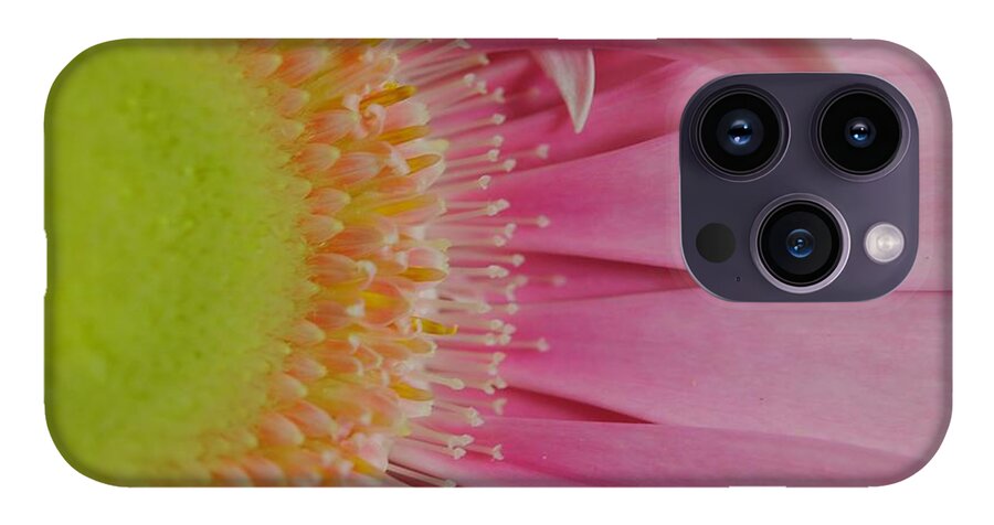Pink and Yellow Daisy - Phone Case