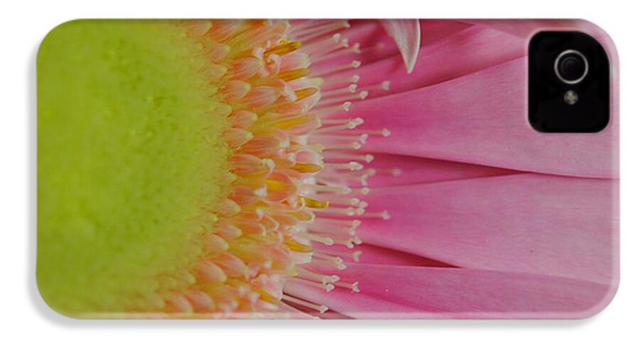 Pink and Yellow Daisy - Phone Case