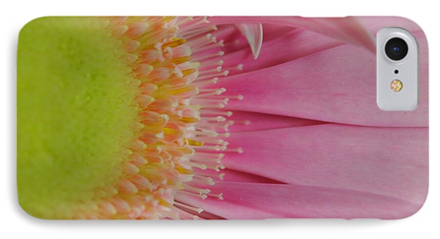Pink and Yellow Daisy - Phone Case
