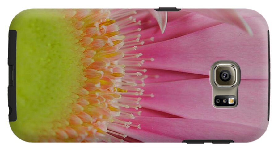 Pink and Yellow Daisy - Phone Case