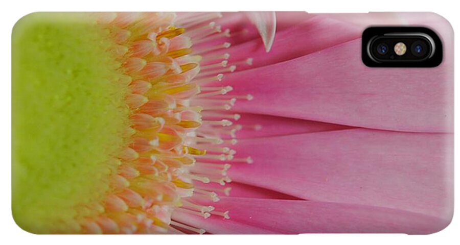 Pink and Yellow Daisy - Phone Case
