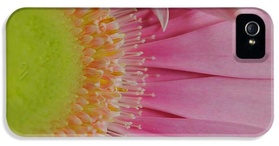 Pink and Yellow Daisy - Phone Case