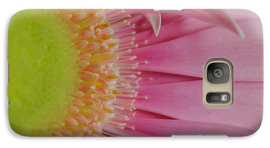 Pink and Yellow Daisy - Phone Case