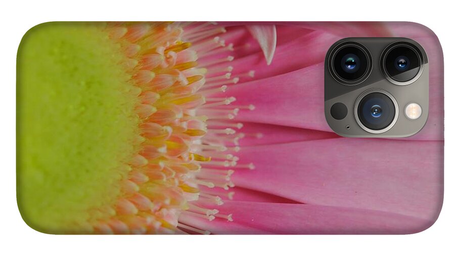 Pink and Yellow Daisy - Phone Case