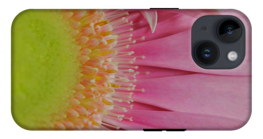 Pink and Yellow Daisy - Phone Case