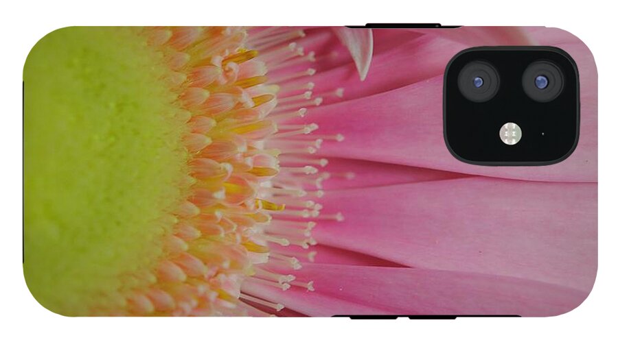 Pink and Yellow Daisy - Phone Case