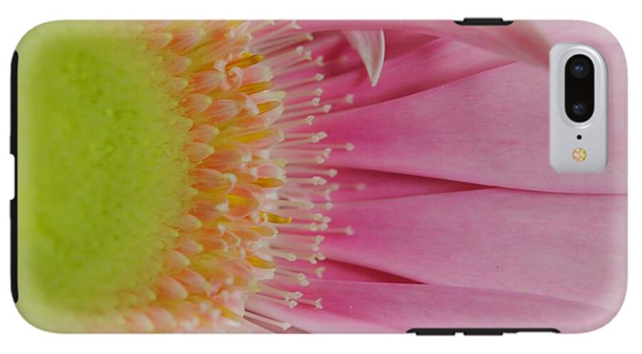 Pink and Yellow Daisy - Phone Case
