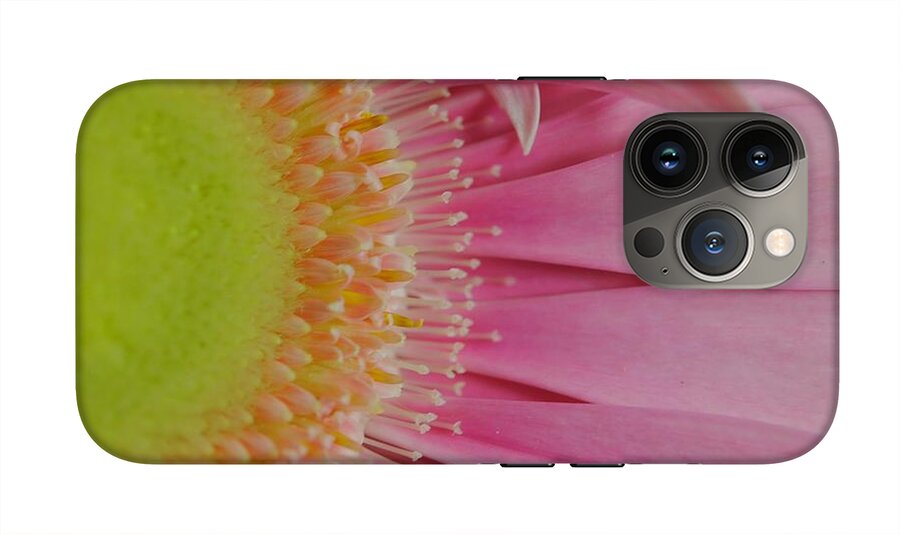 Pink and Yellow Daisy - Phone Case