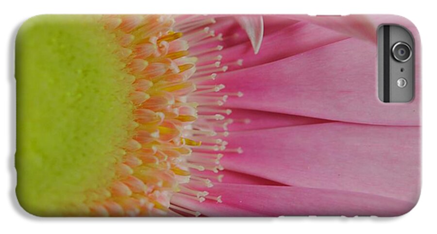 Pink and Yellow Daisy - Phone Case