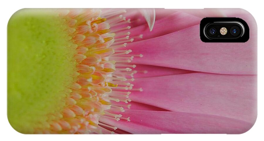 Pink and Yellow Daisy - Phone Case