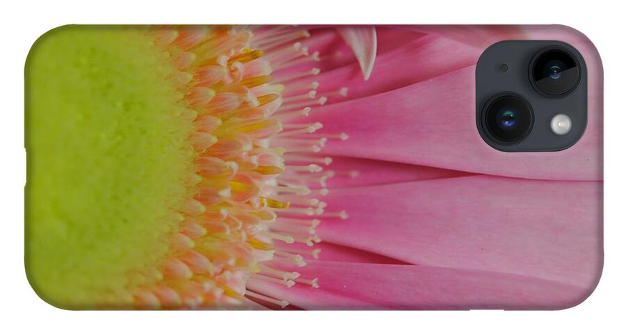 Pink and Yellow Daisy - Phone Case