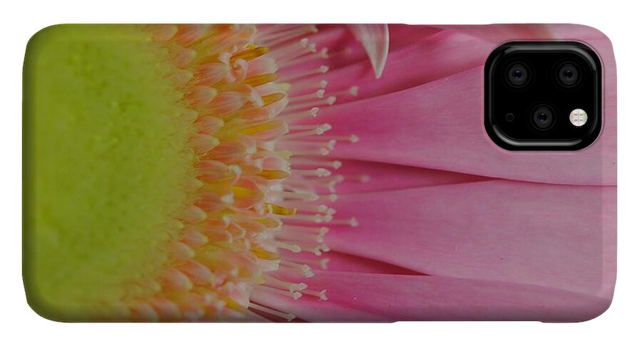 Pink and Yellow Daisy - Phone Case