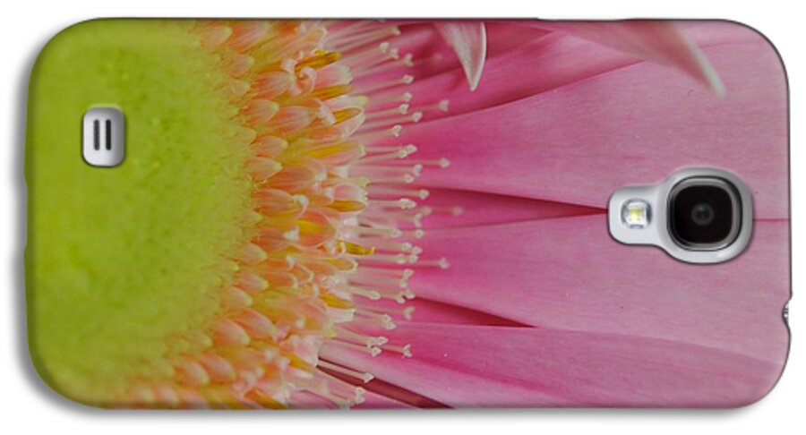 Pink and Yellow Daisy - Phone Case