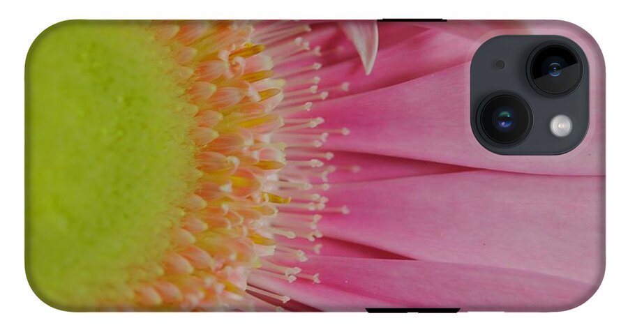 Pink and Yellow Daisy - Phone Case