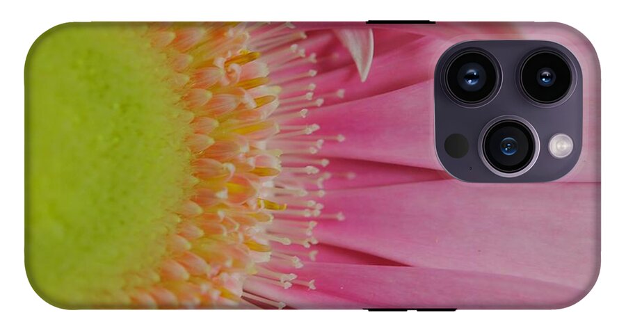 Pink and Yellow Daisy - Phone Case