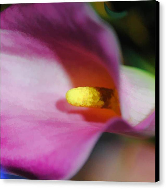 Pink Calla Lily Sideview - Canvas Print