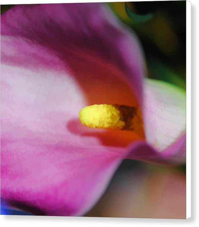 Pink Calla Lily Sideview - Canvas Print
