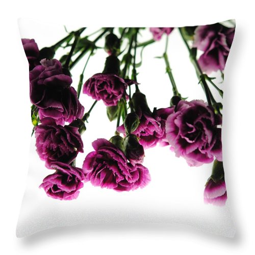 Pink Carnations on White - Throw Pillow
