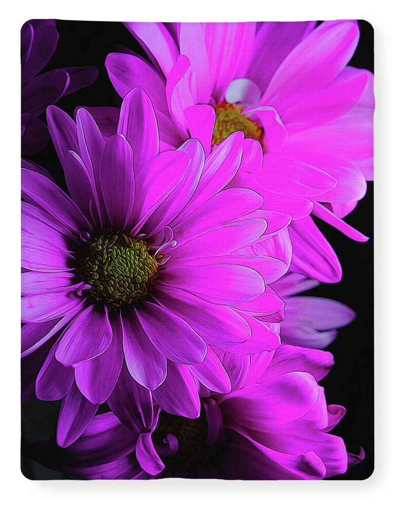 Pink Daisies - Blanket