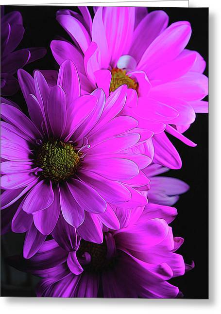 Pink Daisies - Greeting Card
