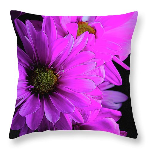 Pink Daisies - Throw Pillow