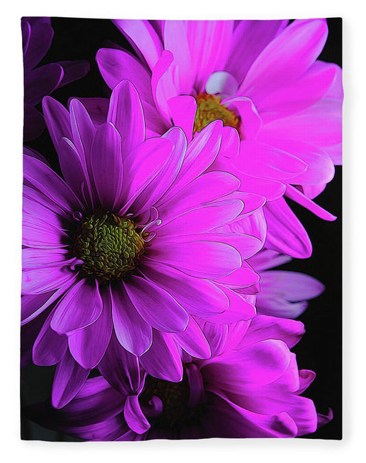Pink Daisies - Blanket