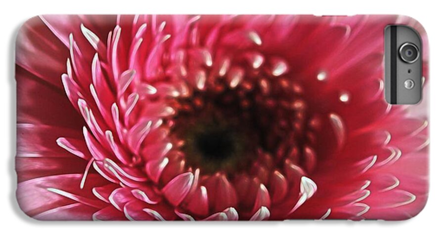 Pink Daisy Close Up - Phone Case